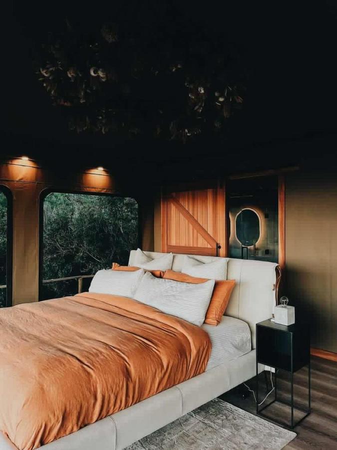 Drift Off Grid Luxury Eco Glamping 호텔 Tarakohe 외부 사진